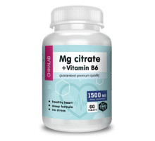 Магний Chikalab Magnesium + B6 (60 таб)