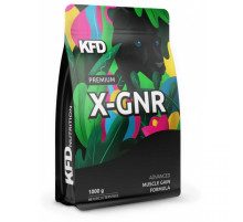 Гейнер KFD Nutrition Premium X-Gainer (1000 гр)