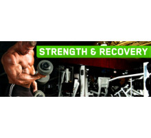 Аминокислоты Optimum Nutrition BCAA + Creatine Powder