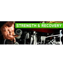 Аминокислоты Optimum Nutrition BCAA + Creatine Powder