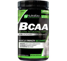 Аминокислоты NutraKey BCAA Powder