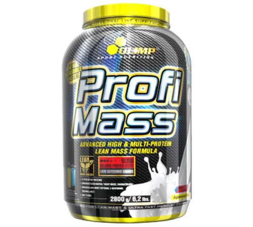 Гейнер Profi Mass